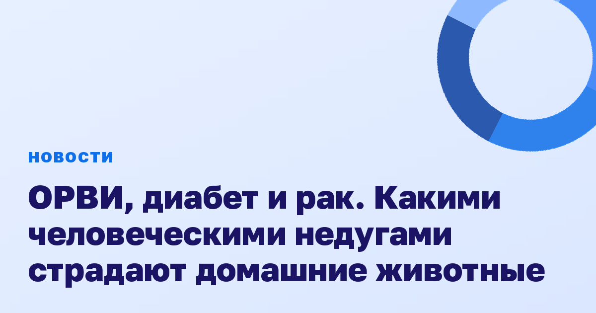 ОРВИ, диабет и рак. Какими человеческими недугами страдают домашние животные
